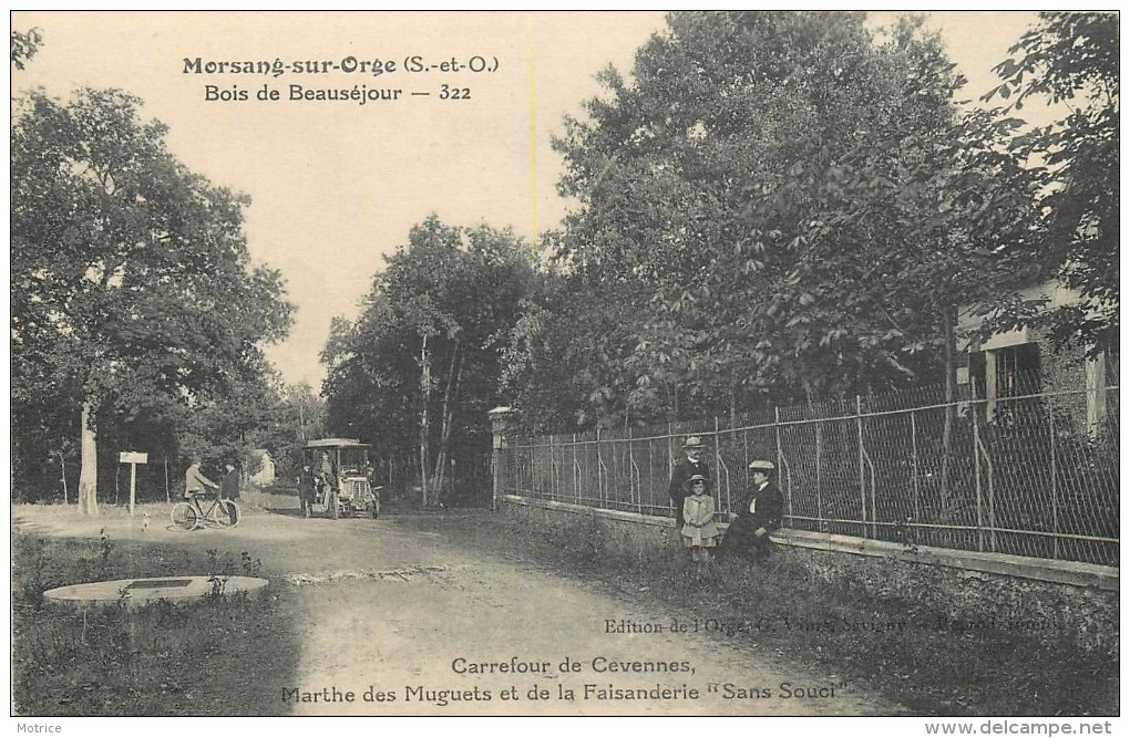 MORSANG SUR ORGE - Bois De Beausejour. - Morsang Sur Orge