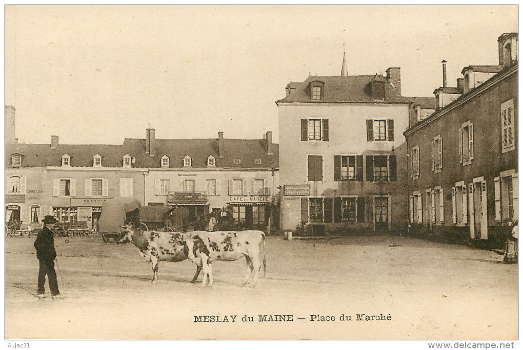 Dép 53 - Animaux - Vaches - Meslay Du Maine - Place Du Marché - Bon état - Meslay Du Maine