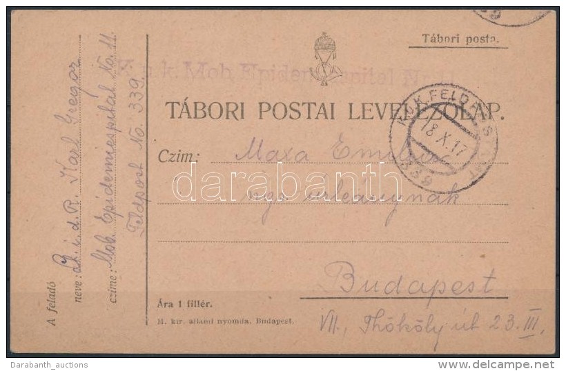 1917 Tábori Posta LevelezÅ‘lap / Field Postcard 'K.u.k. Mob Epidemiespital Nr.11.' + 'FP 339' - Other & Unclassified