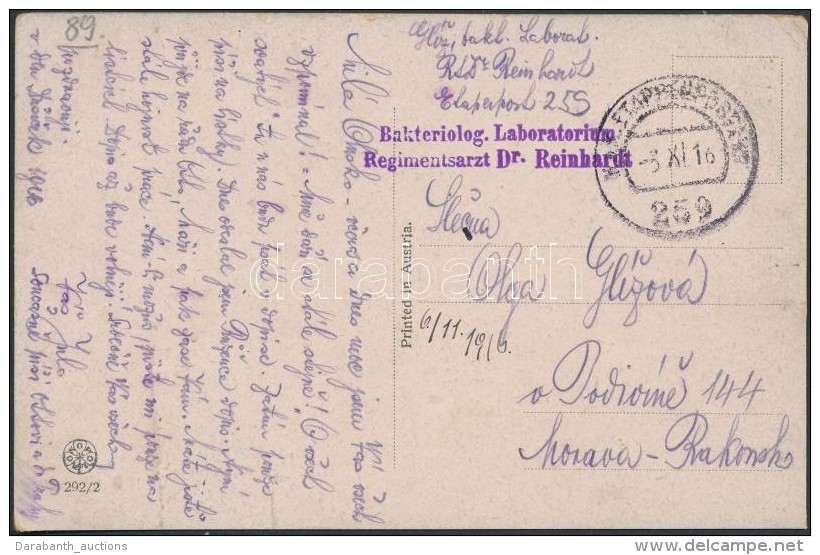 1916 Tábori Posta Képeslap / Field Postcard 'Bakteriolog. Laboratorium Regimentsarzt Dr. Reinhardt' +... - Other & Unclassified