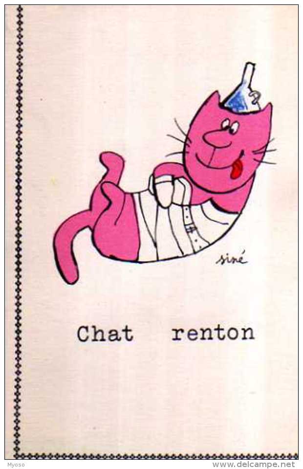 SINE  Chat Renton - Sine