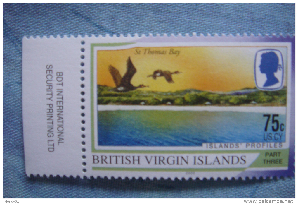 3-983 Cormoran Oiseau De Mer Sea Bird Ile Island - Pelikanen