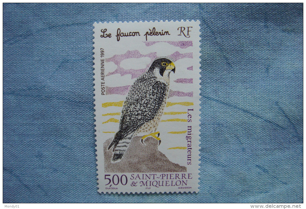 3-989 Faucon Pelerin Falco Oiseau Migrateur Bec Crochu  Saint Pierre Et Miquelon Albuisson - Aigles & Rapaces Diurnes