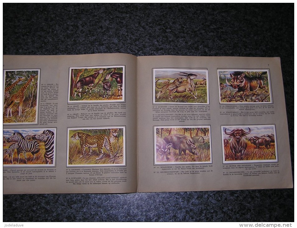 LA FAUNE AFRICAINE DE AFRIKAANSE FAUNA Valentin Album Chromos Complet Afrique Animaux Oiseaux Trading Card Chromo - Autres & Non Classés