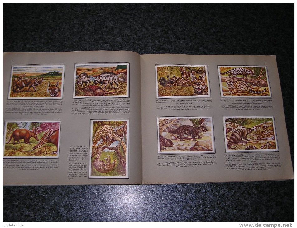 LA FAUNE AFRICAINE DE AFRIKAANSE FAUNA Valentin Album Chromos Complet Afrique Animaux Oiseaux Trading Card Chromo