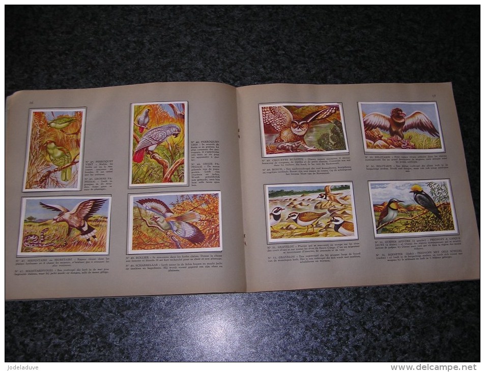 LA FAUNE AFRICAINE DE AFRIKAANSE FAUNA Valentin Album Chromos Complet Afrique Animaux Oiseaux Trading Card Chromo