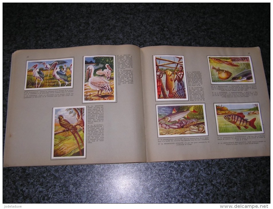 LA FAUNE AFRICAINE DE AFRIKAANSE FAUNA Valentin Album Chromos Complet Afrique Animaux Oiseaux Trading Card Chromo