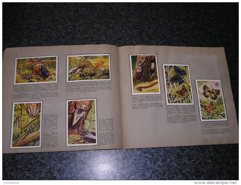 LA FAUNE AFRICAINE DE AFRIKAANSE FAUNA Valentin Album Chromos Complet Afrique Animaux Oiseaux Trading Card Chromo