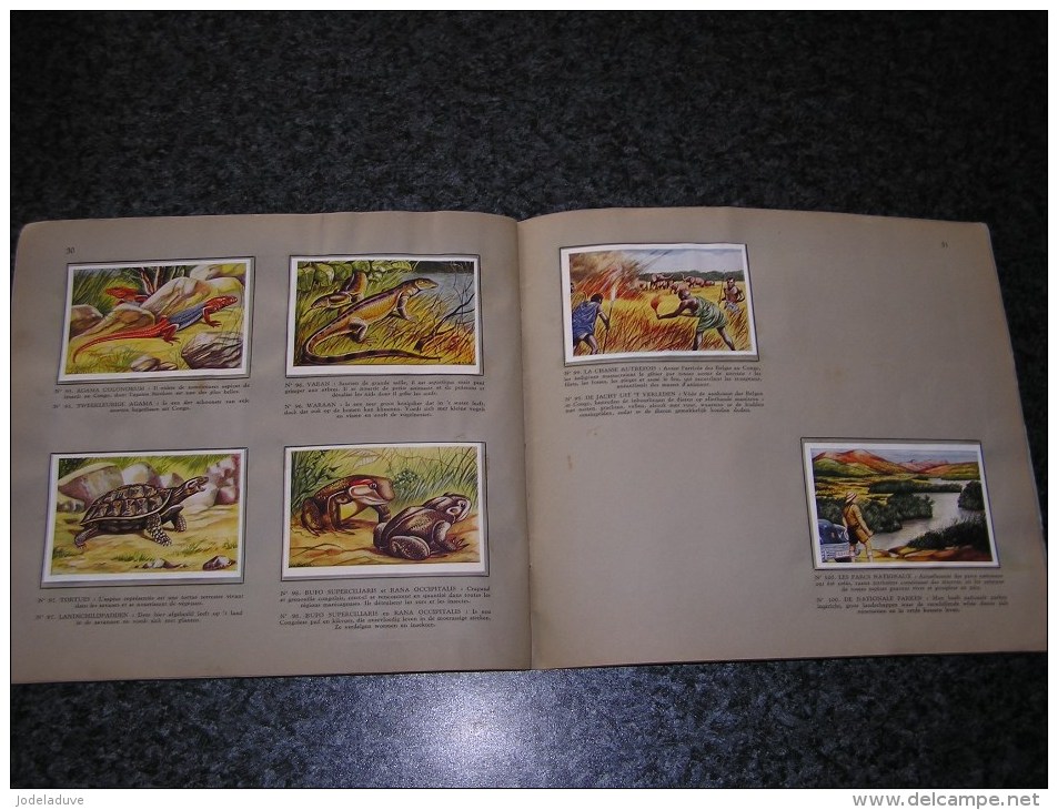 LA FAUNE AFRICAINE DE AFRIKAANSE FAUNA Valentin Album Chromos Complet Afrique Animaux Oiseaux Trading Card Chromo