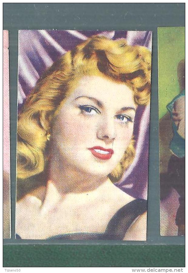 SHELLEY WINTERS-FIGURINA N-158-,ARTISTI DEL CINEMA..CASA EDITRICE ASTRA.1951 - Altri & Non Classificati