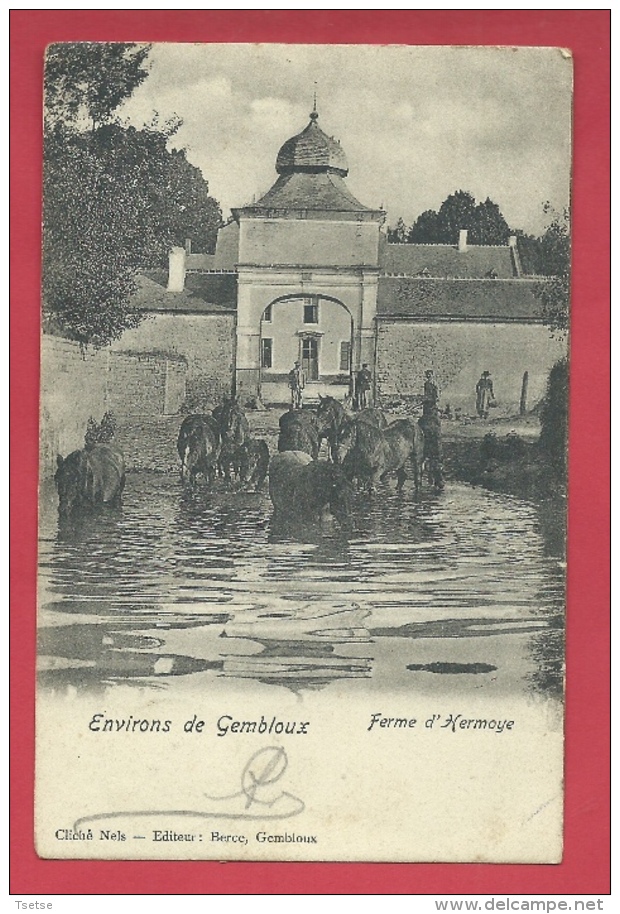 Gembloux - Ferme D'Hermoye - Chevaux S'abreuvant - 1902 ( Voir Verso  ) - Gembloux