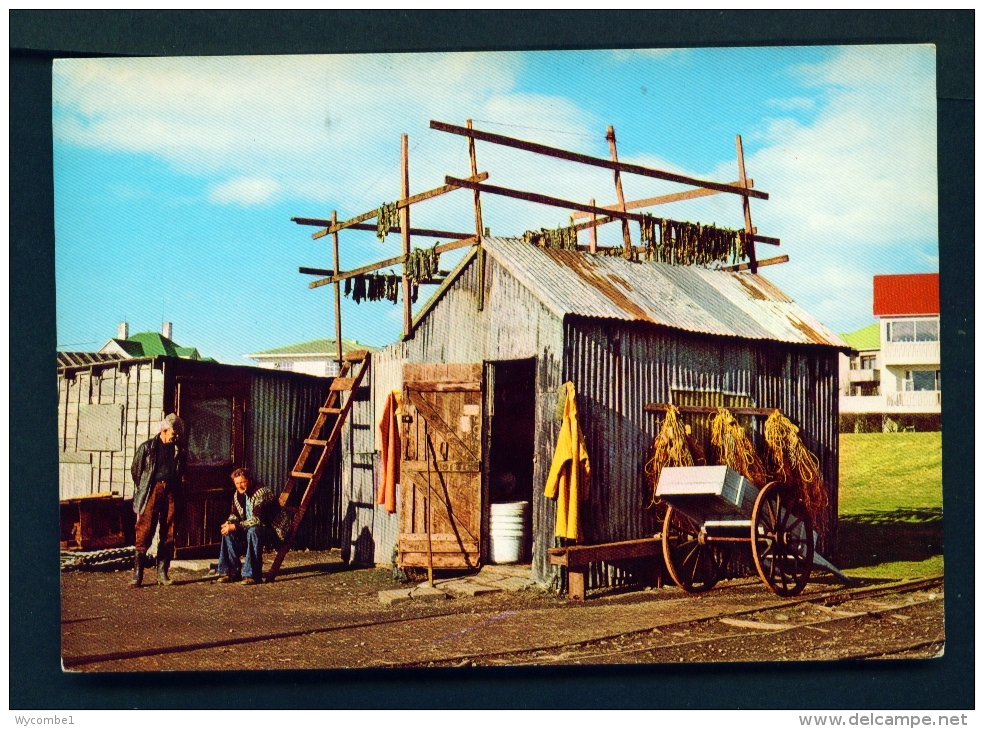 ICELAND  -  Reykjavik  Sea Side Scene  Unused Postcard - Iceland