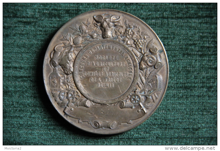 Superbe Médaille Concours Départemental Agricole, Sté D'Agriculture Et Comices Agricoles De L'ARIEGE Gravée Par DESAIDE - Professionnels / De Société