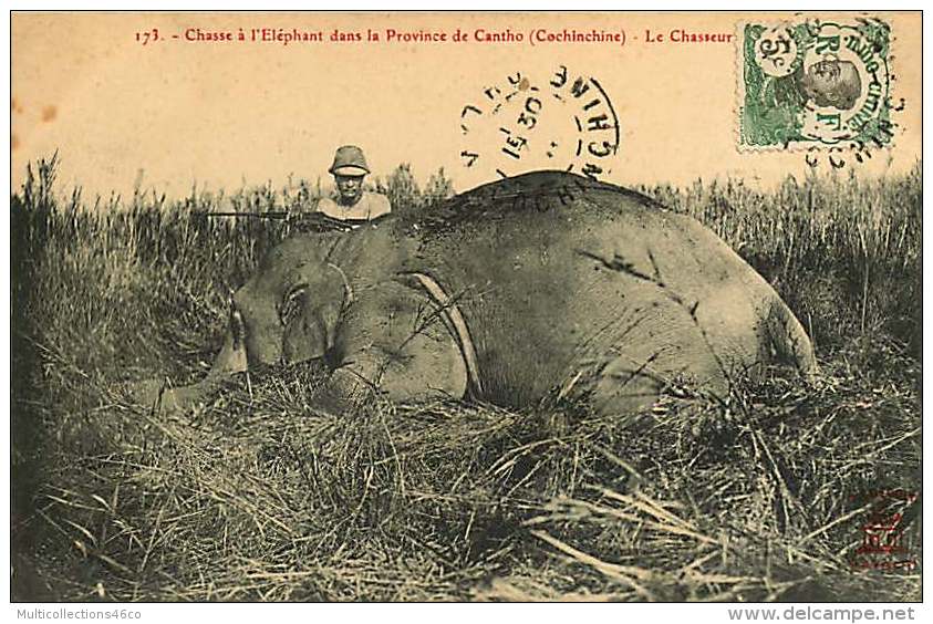 ASIE 050416 - VIET NAM COCHINCHINE - Chasse à L'éléphant Province De CANTHO - Le Chasseur - Viêt-Nam