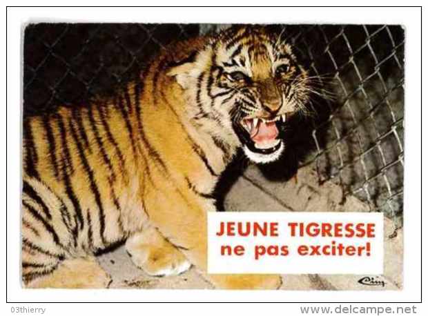 CPSM ANIMAUX HUMORISTIQUES JEUNE TIGRESSE - Tigres