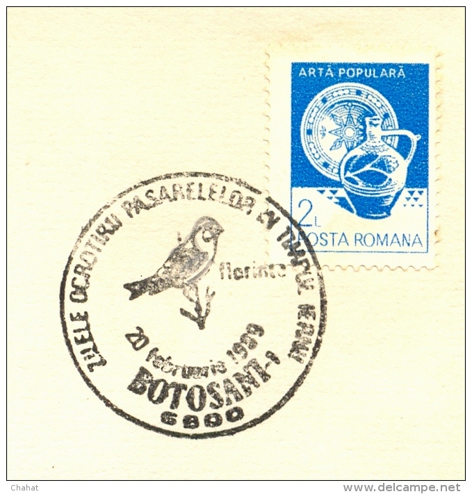 SONGBIRDS- SPARROW -SPECIAL POSTMARK- ON COVER-ROMANIA-SCARCE-BX1-315 - Sparrows