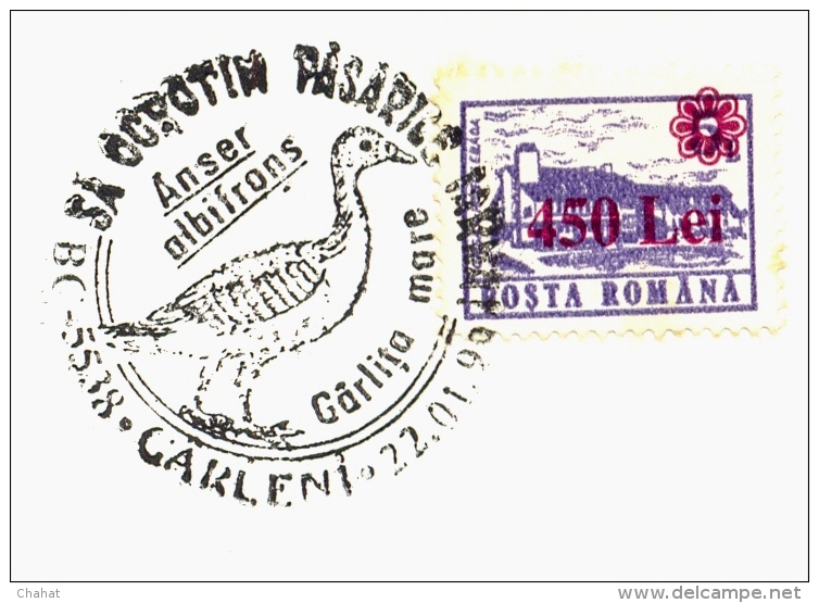 WATER BIRDS-GREATER WHITE FRONTED GOOSE- SPECIAL POSTMARK- ON COVER-ROMANIA-SCARCE-BX1-323 - Ganzen