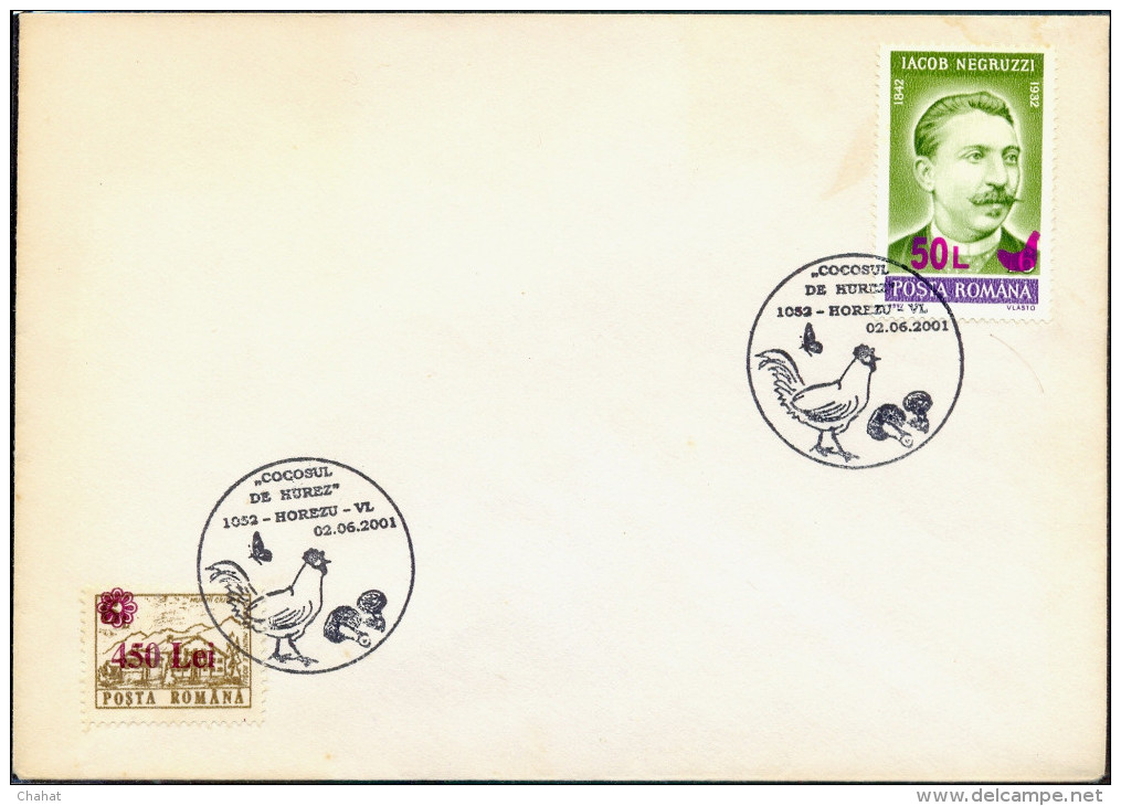 BIRDS-HOOPOE-MUSHROOMS-SPECIAL  POSTMARK ON COVER-ROMANIA-SCARCE-BX1-311 - Spechten En Klimvogels