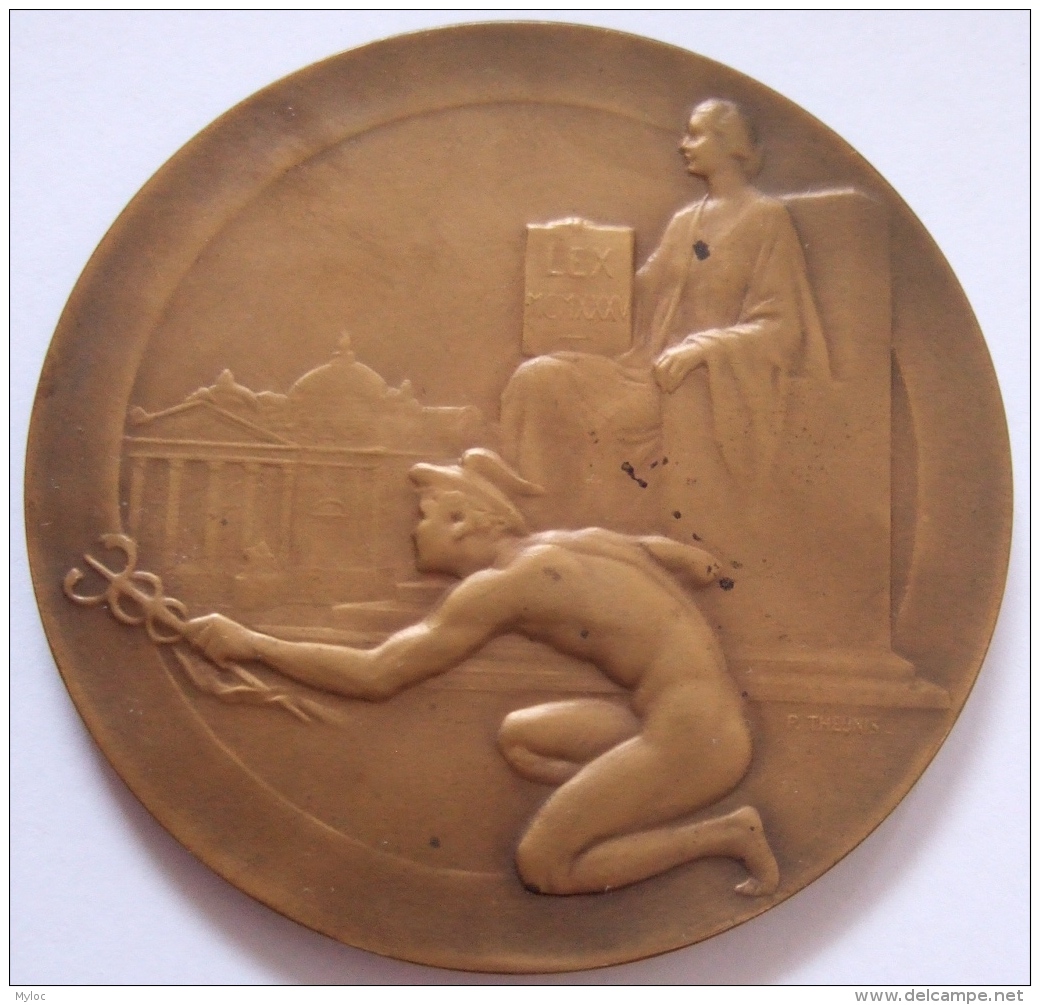 Médaille.   Eugène Resteau. Lois Reglementant Profession Agent De Change. 1934-1937. P. Theunis. Atel. Fisch. 70mm - Professionnels / De Société