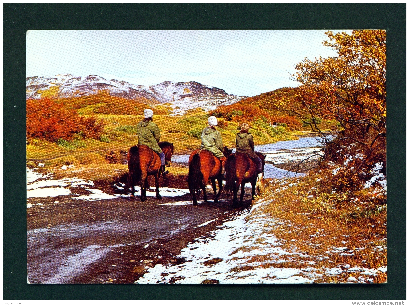 ICELAND  -  Thjorsardalur  Autumn  Unused Postcard - Iceland