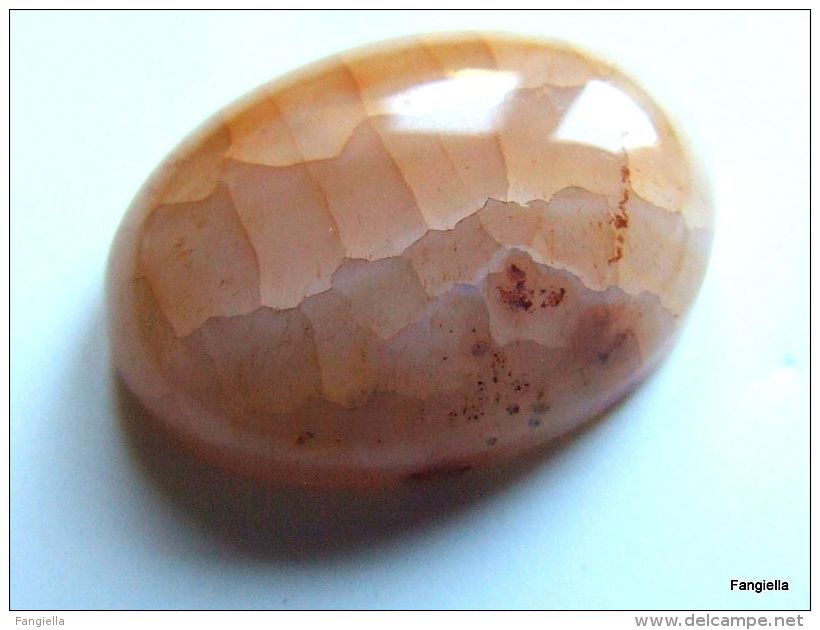 Cabochon Ovale Agate Veines De Dragon Pierre Semi-précieuse Crème Orange Environ 20x15x6mm   Une Jolie Agate "Veines De - Perles