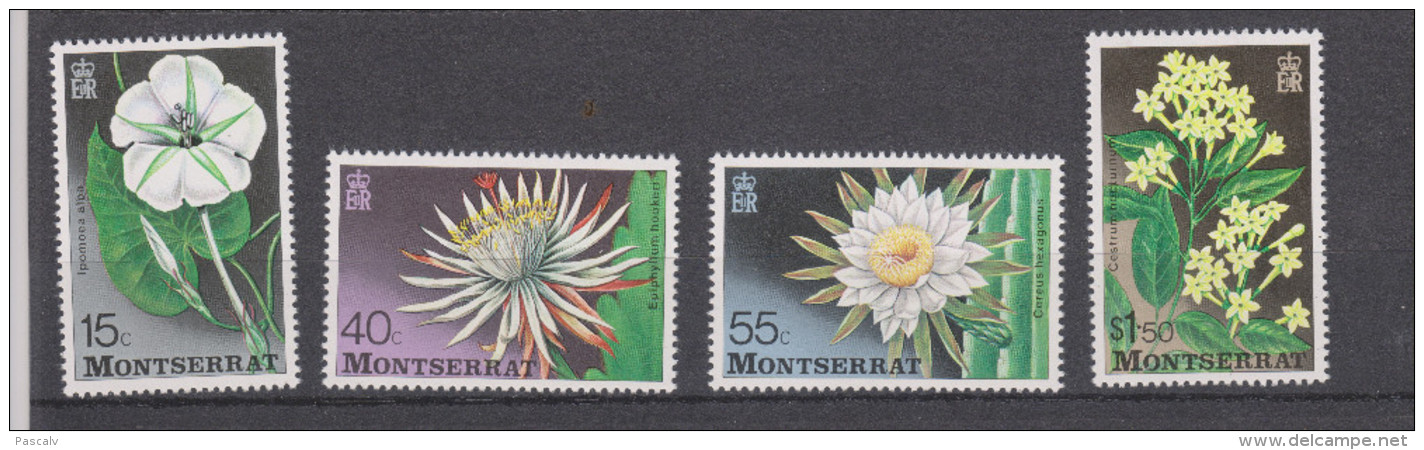 Yvert 367 / 370 ** Neuf Sans Charnière Fleurs Flowers - Montserrat