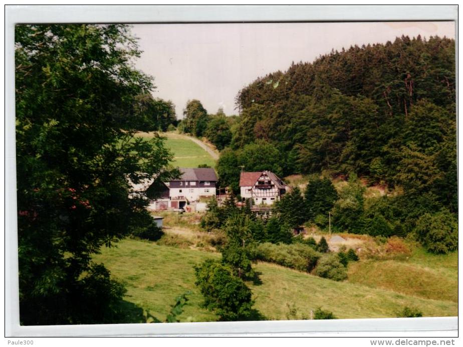 Bad Berleburg - Dachsloch Und Umgebung - Bad Berleburg