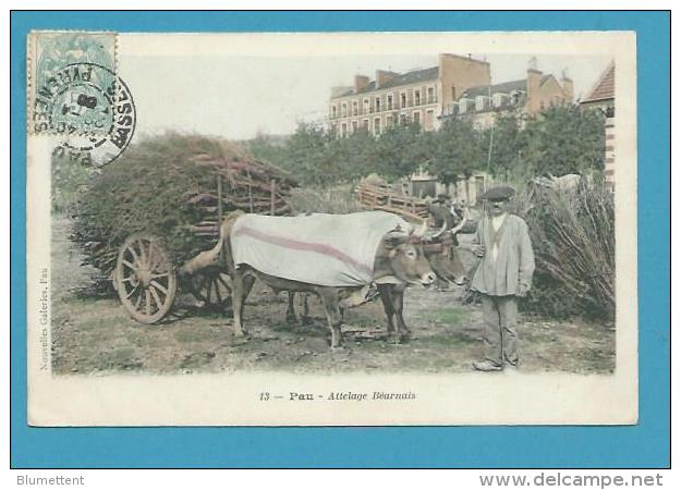 CPA 13 - Paysans Attelage Béarnais Boeufs Transport De Bois PAU 64 - Pau