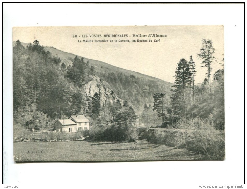 CP  BALLON D ALSACE (88) LA MAISON FORESTIERE DE LA CUVOTTE LES ROCHES DU CERF - Autres & Non Classés