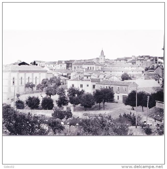 GDLJRTP6739-LFTD11591.Tarjeta Postal DE GUADALAJARA.Casas,arboles,torre Y VISTA PARCIAL DE GUADALAJARA - Guadalajara