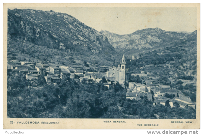 ES VALLDEMOSA / Vista General / - Otros & Sin Clasificación