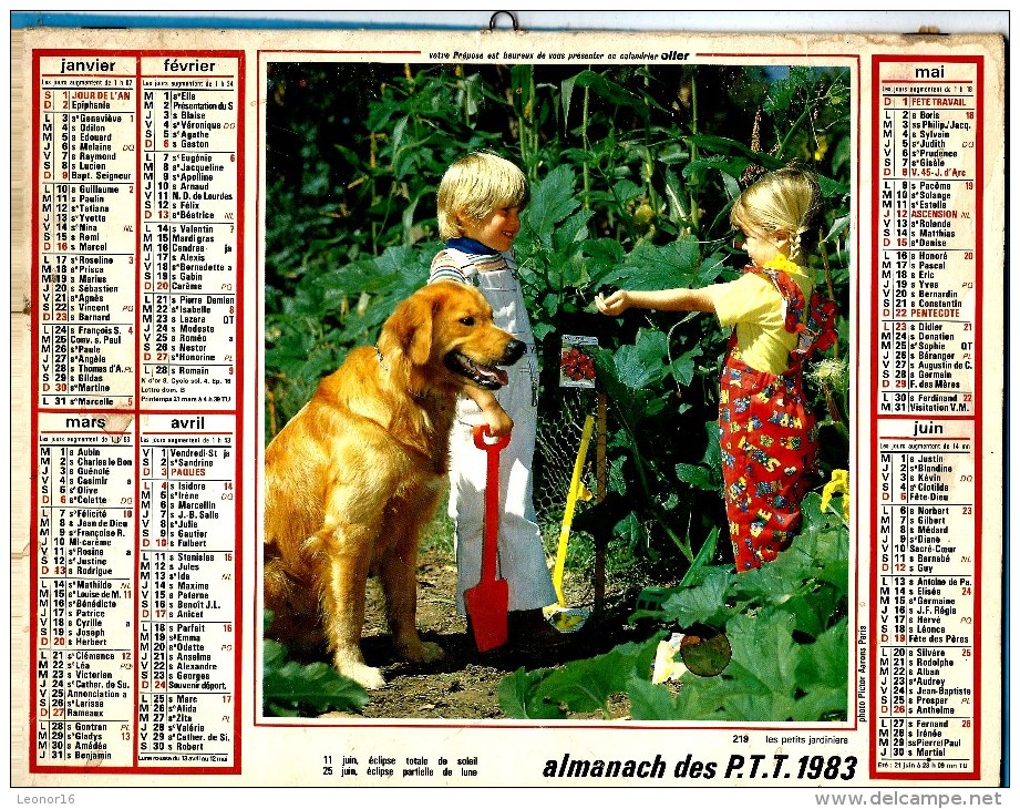 ALMANACH DES P.T.T 1983 (57) - Complet ** CHIEN GOLDEN RETRIEVER - POUSSINS ET CANETONS ** Calendrier * OLLER * N° 219 - Big : 1971-80