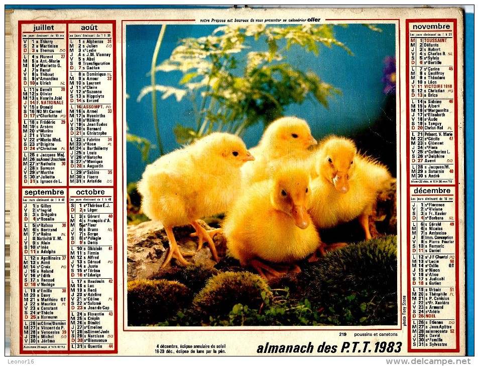 ALMANACH DES P.T.T 1983 (57) - Complet ** CHIEN GOLDEN RETRIEVER - POUSSINS ET CANETONS ** Calendrier * OLLER * N° 219 - Grand Format : 1971-80