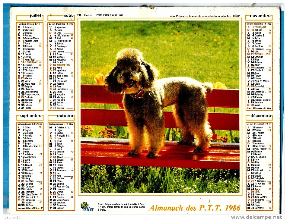 ALMANACH DES P.T.T 1986 (57) - Complet ** CHIEN CANICHE - CHATON DANS UN PANIER ** Calendrier * OLLER * N° 216 - Tamaño Grande : 1981-90