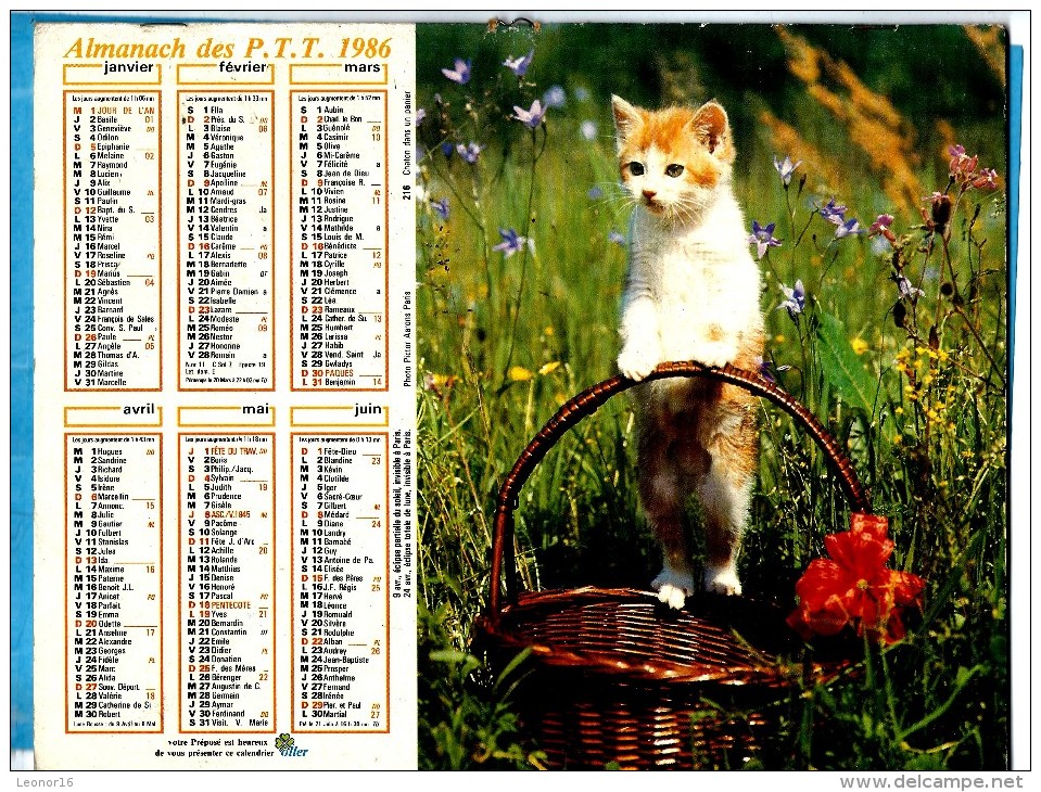 ALMANACH DES P.T.T 1986 (57) - Complet ** CHIEN CANICHE - CHATON DANS UN PANIER ** Calendrier * OLLER * N° 216 - Tamaño Grande : 1981-90