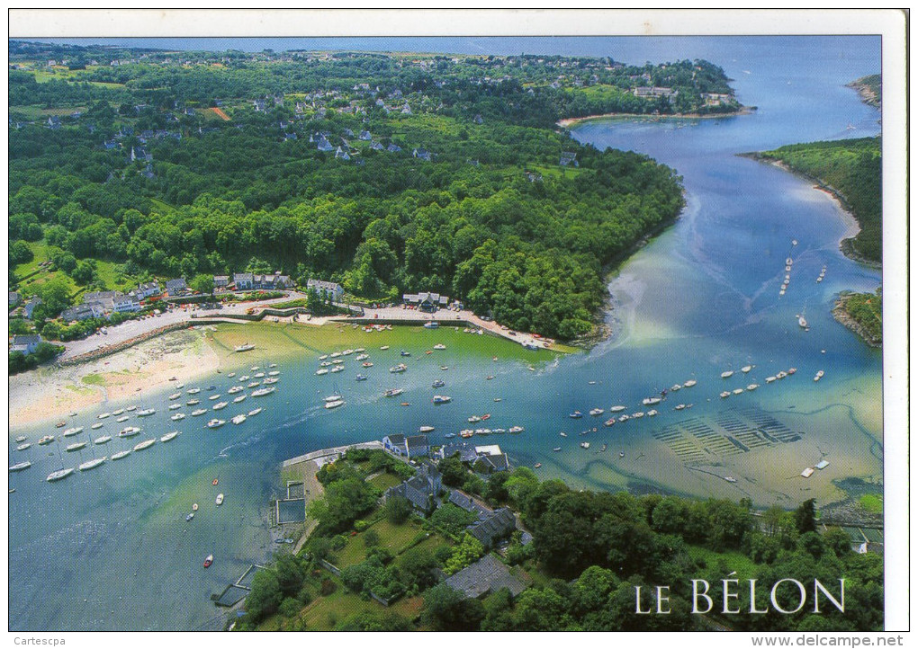 Le Belon Le Belon Et Port De Belon CPSM Ou CPM - Autres & Non Classés