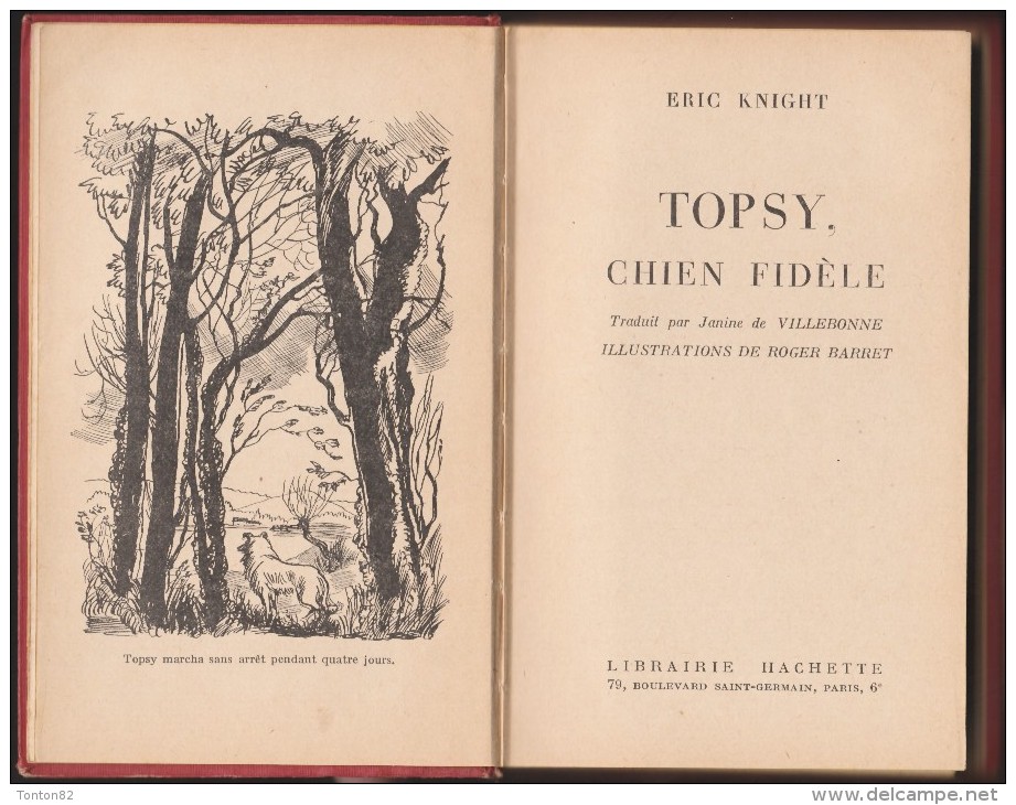 Eric Knight - TOPSY Chien Fidèle - Bibliothèque Rose Illustrée- ( 1949 ) . - 1901-1940