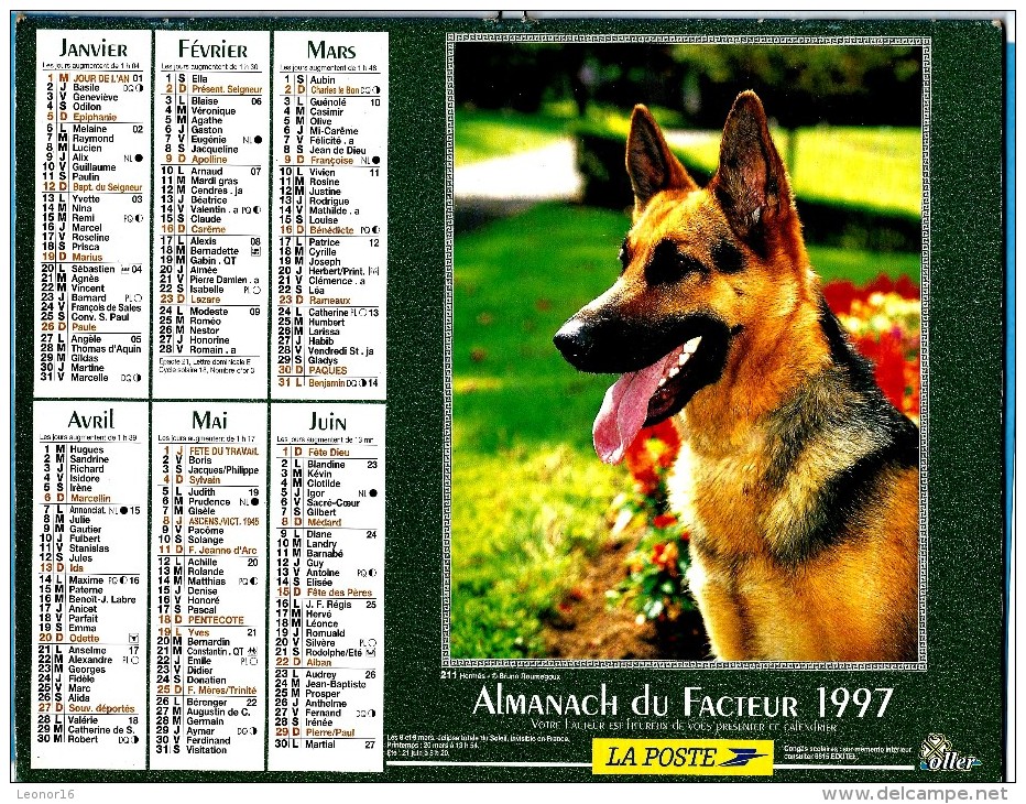 ALMANACH DU FACTEUR 1997 (57) - Complet ** BERGER ALLEMAND - TROTTEURS DU HARAS CRUCHETTES ** - Calendrier OLLER N°211 - Grand Format : 1991-00