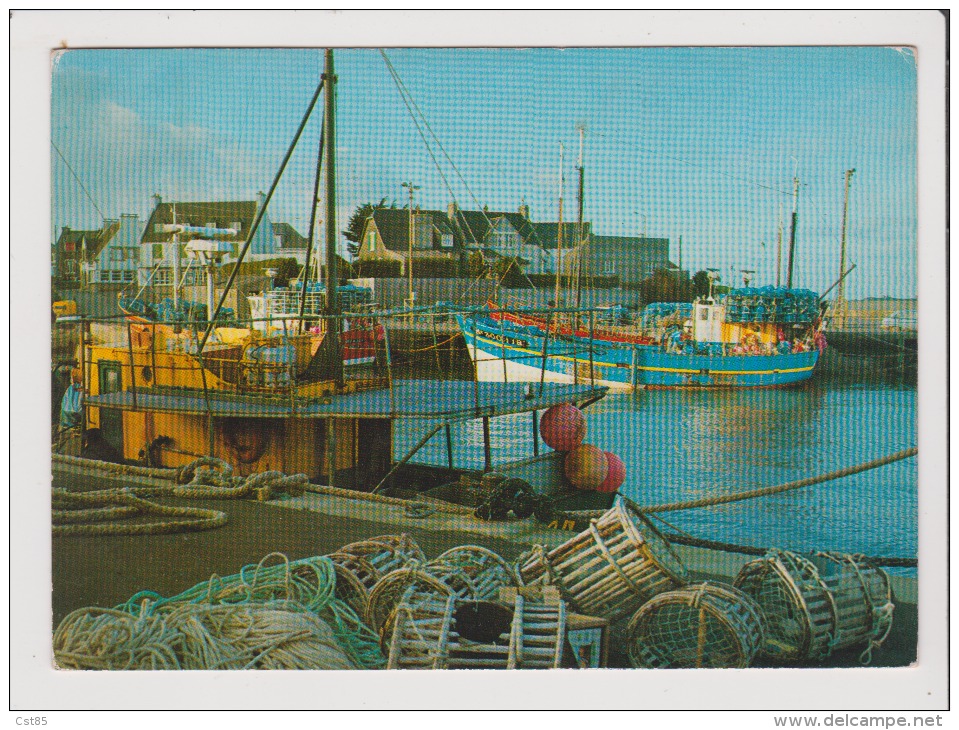 CPM - MOGUERIEC - Le Port Et Ses Langoustiers - Other & Unclassified