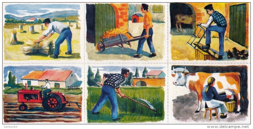 3 PLANCHES DE 6 IMAGES CARTONNÉES 6X8cm METIERS LES TRAVAUX AGRICOLES EDITIONS LES PLAISIRS ET LES JEUX VERS 1980/90 - 6-12 Ans