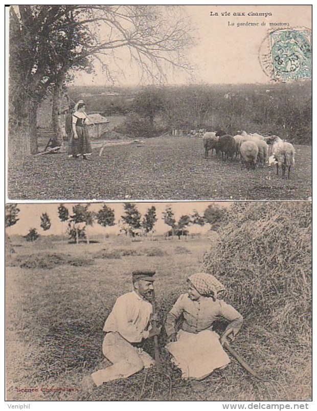 2 CARTES AGRICULTURE - LA GARDEUSE DE MOUTONS- SCENE CHAMPETRE  - ANNEE 1904-1908 - Fermes