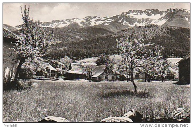 CARTE PHOTO - PRABERT -ENVIRONS DE THEYS - ISERE - Theys