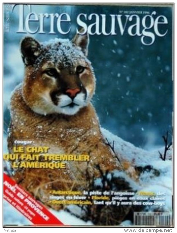 TERRE SAUVAGE N° 102 : Cougar - Antarctique - Maroc - Floride .  1996 - Animaux