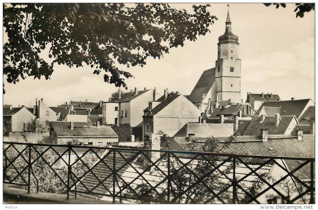 WURZEN - Blick Zur  Wenceslaikirche. - Wurzen