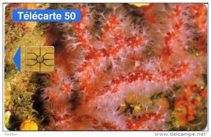 @+ Monaco 50 - Gem1A - Protection De La Nature - Ref : MCO-46 (01/95) - Monace