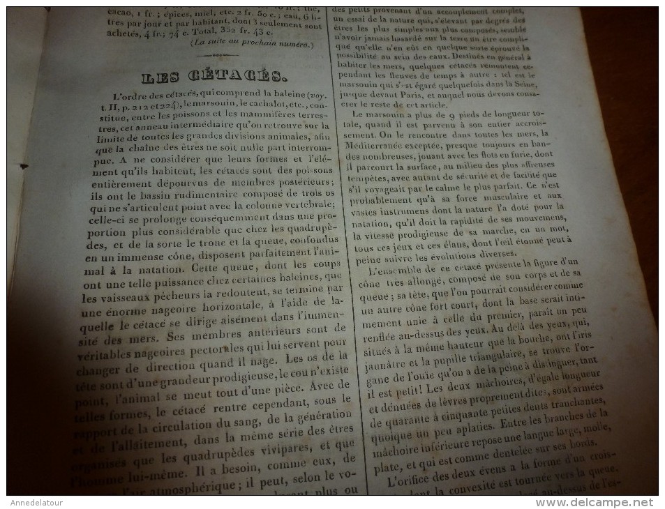 1835 LM :Place Navone à Rome (texte et gravure); Louis VI; Charles le Bon; Prospérité aux USA; Les cétacés; Le marsouin