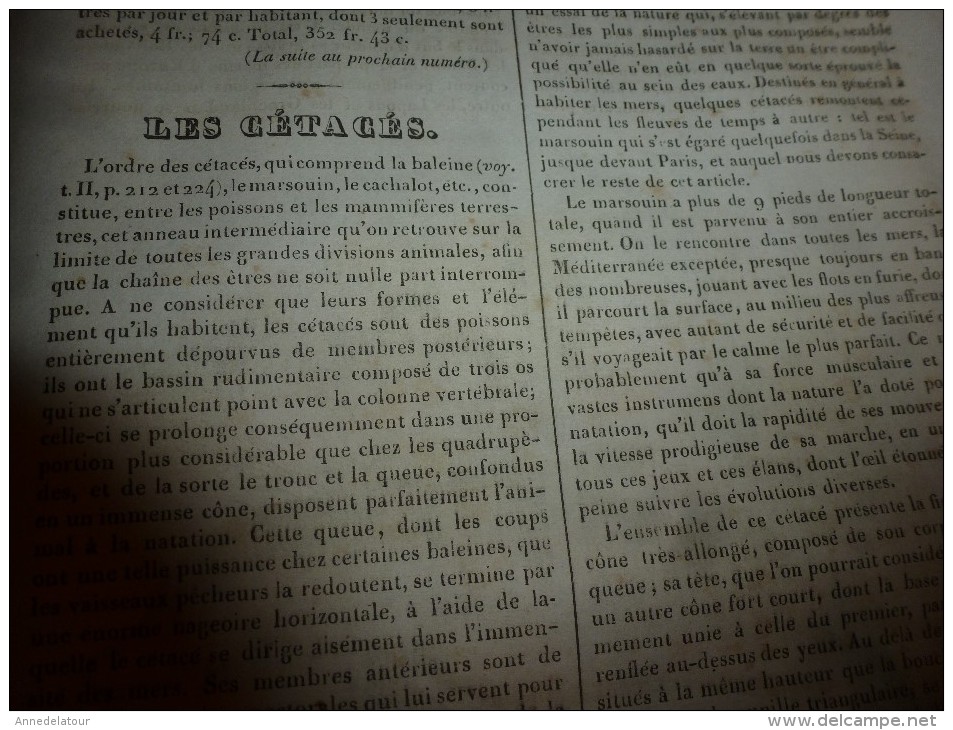 1835 LM :Place Navone à Rome (texte et gravure); Louis VI; Charles le Bon; Prospérité aux USA; Les cétacés; Le marsouin