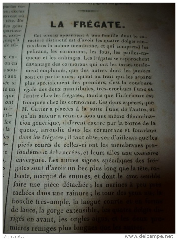 1835 LM :Le Rhin à Lauffenbourg (et gravure);Girardon;Tombeau de Richelieu;Les turcs et les animaux;La frégate (oiseau)