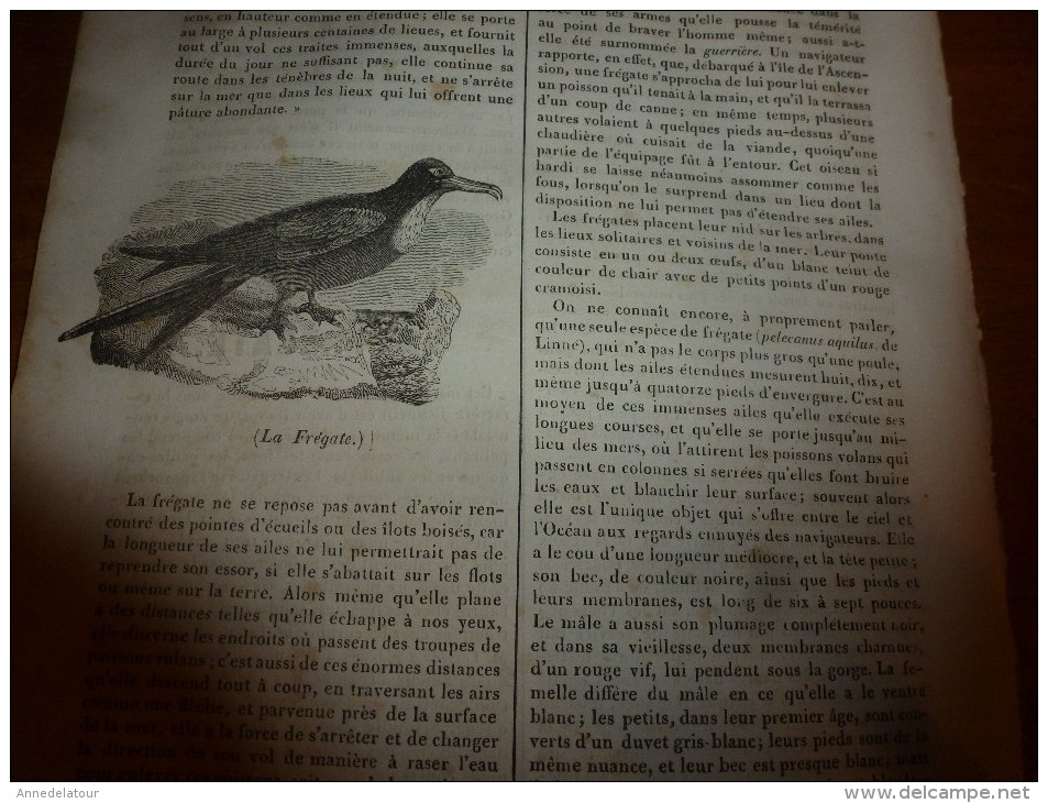 1835 LM :Le Rhin à Lauffenbourg (et gravure);Girardon;Tombeau de Richelieu;Les turcs et les animaux;La frégate (oiseau)