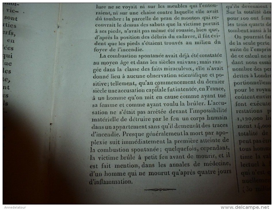 1835 LM : Bramante à Rome (et grav);Ste-Geneviève;Combustion humaine spontanée;Prison pour dette en UK;Poisson Thymalle
